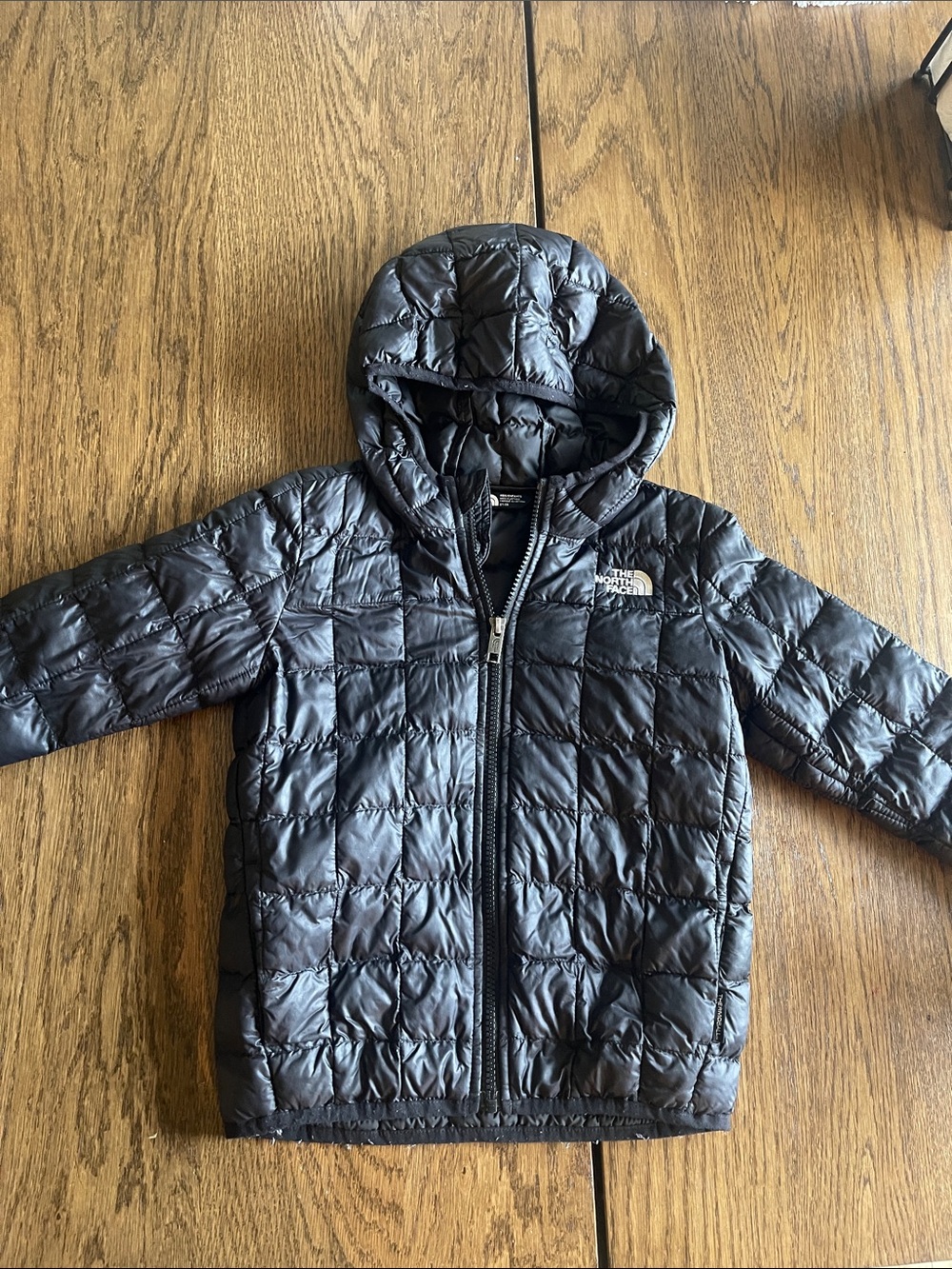 Unisex The North Face Quilted Hooded Jacket in Black